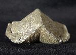 Paraspirifer bownockeri (STEWART 1927) - Bild &copy; FossNet FossilienStore